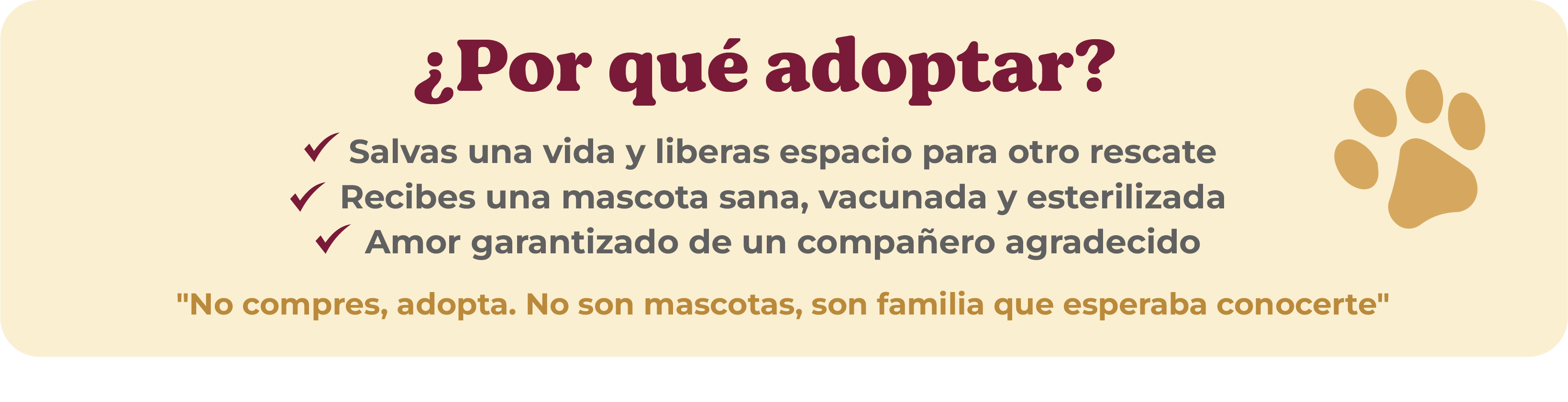 ¿Por qué adoptar?