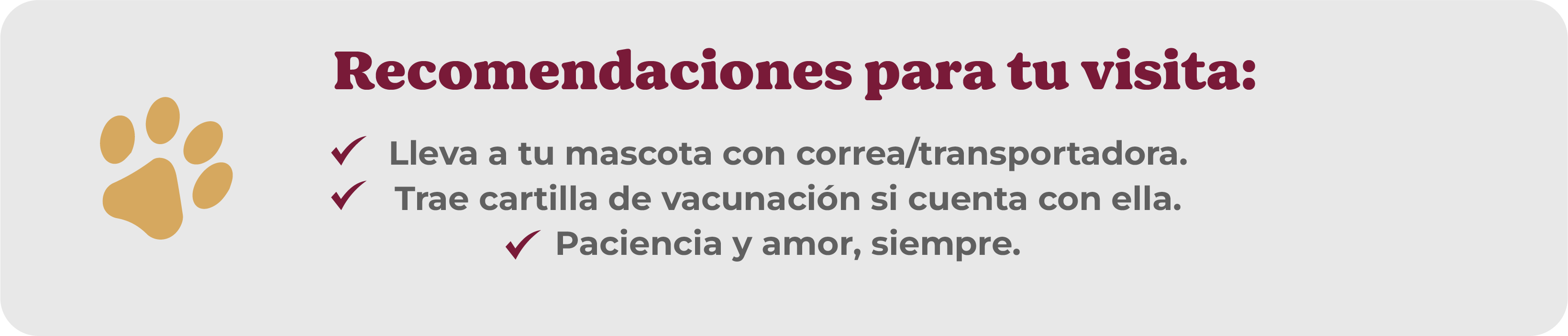 Recomendaciones para tu visita