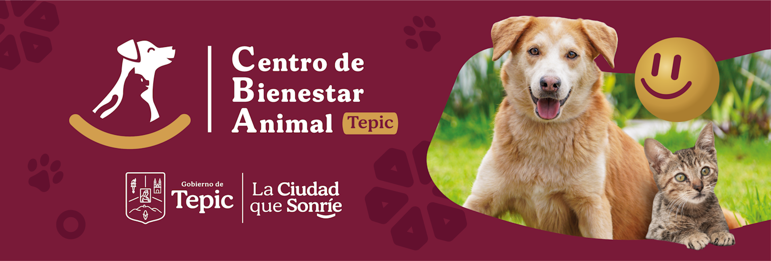Perro y gato felices