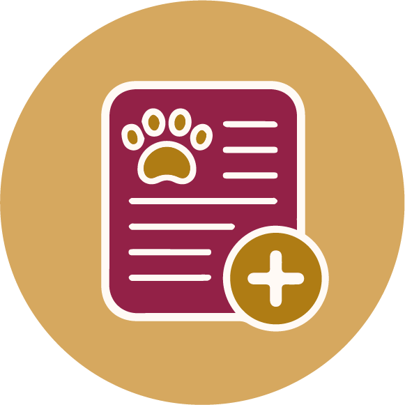 Registro de Mascotas