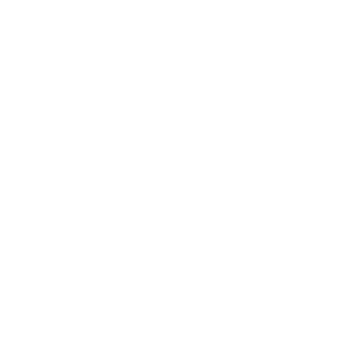 ico-accesibilidad