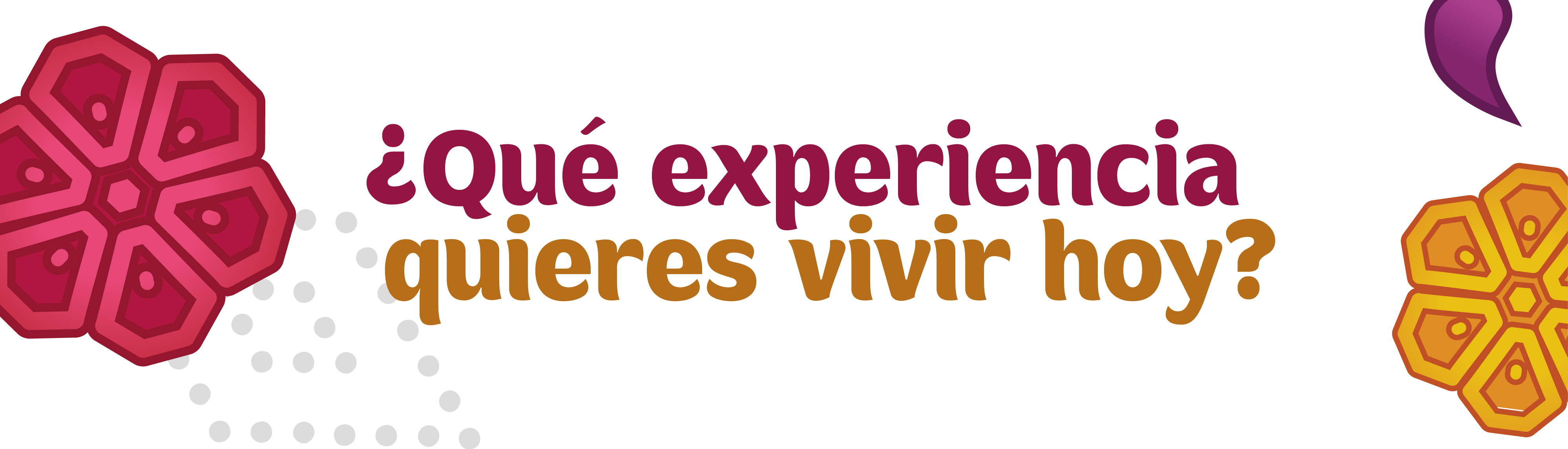Servicios